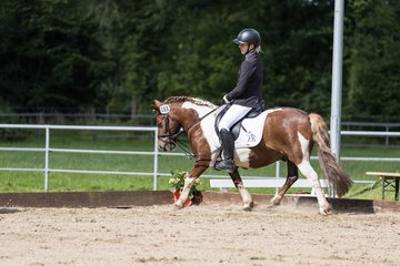 Bild 281 - Pony Akademie Turnier